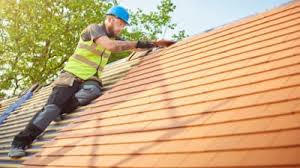 Best Roof Moss and Algae Removal  in Woodburn, VA