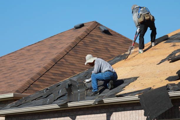 Best Roof Insulation Installation  in Woodburn, VA